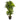 3' Corn Stalk Dracaena Artificial Plant (Real Touch)