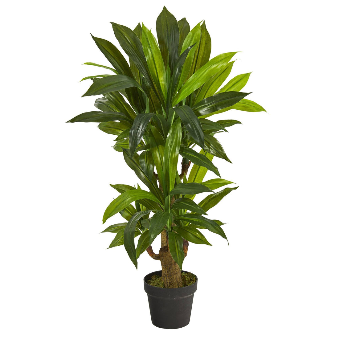house plant that looks like corn 3' Corn Stalk Dracaena Artificial Plant (Real Touch)