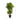 3' Corn Stalk Dracaena Artificial Plant (Real Touch)