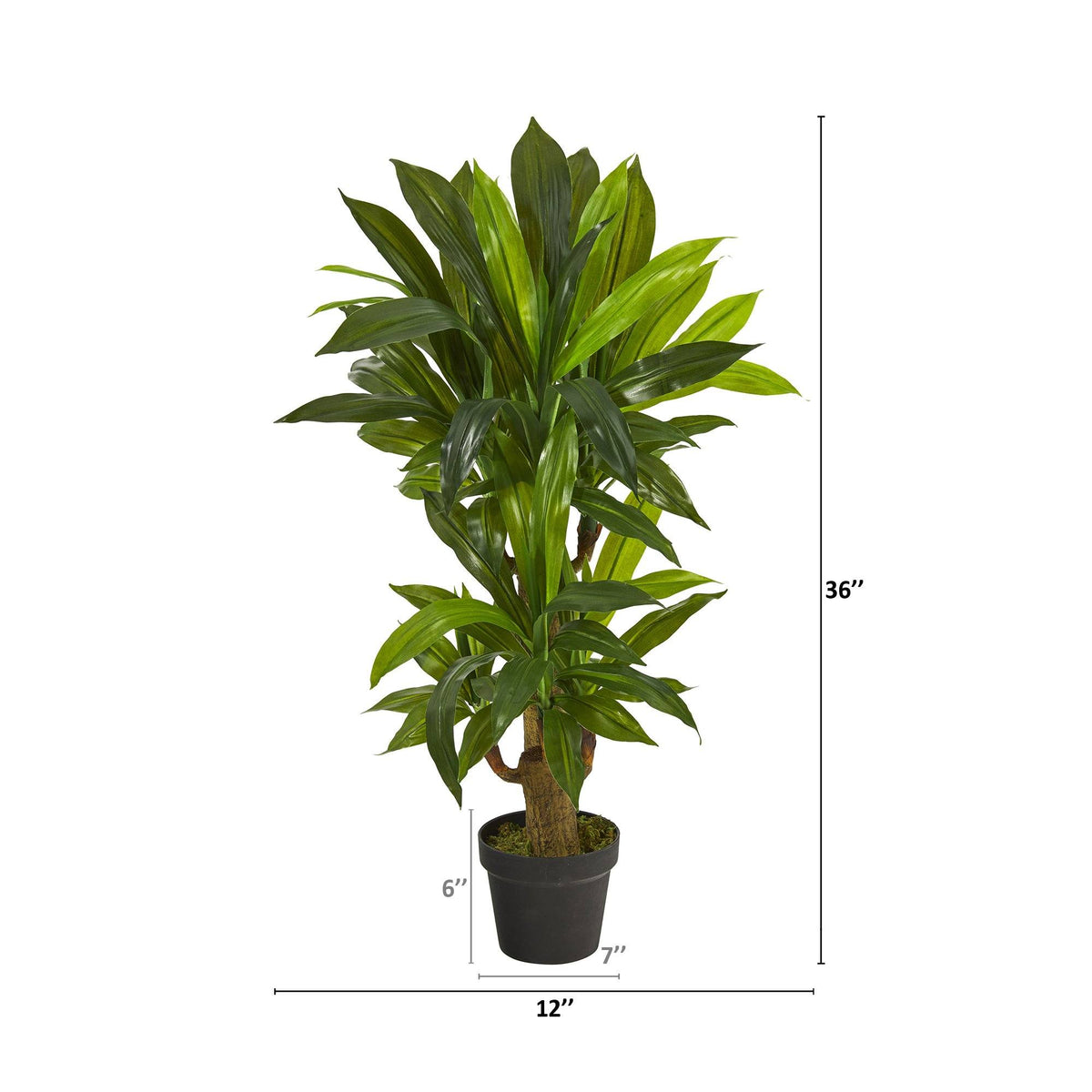 Silk Dracaena Plants Artificial Dracaena Plants Nearly Natural