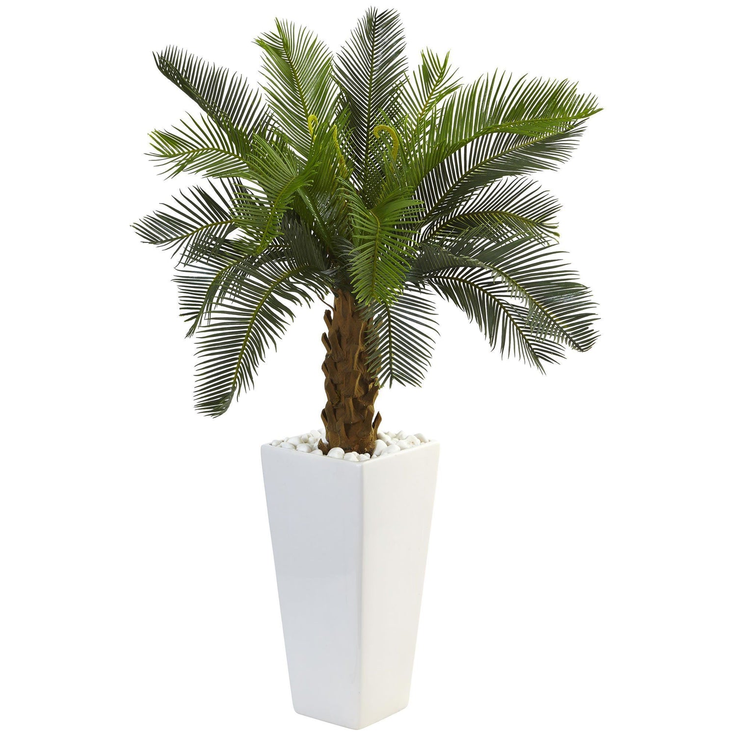 3’ Cycas Tree in White Tower Planter