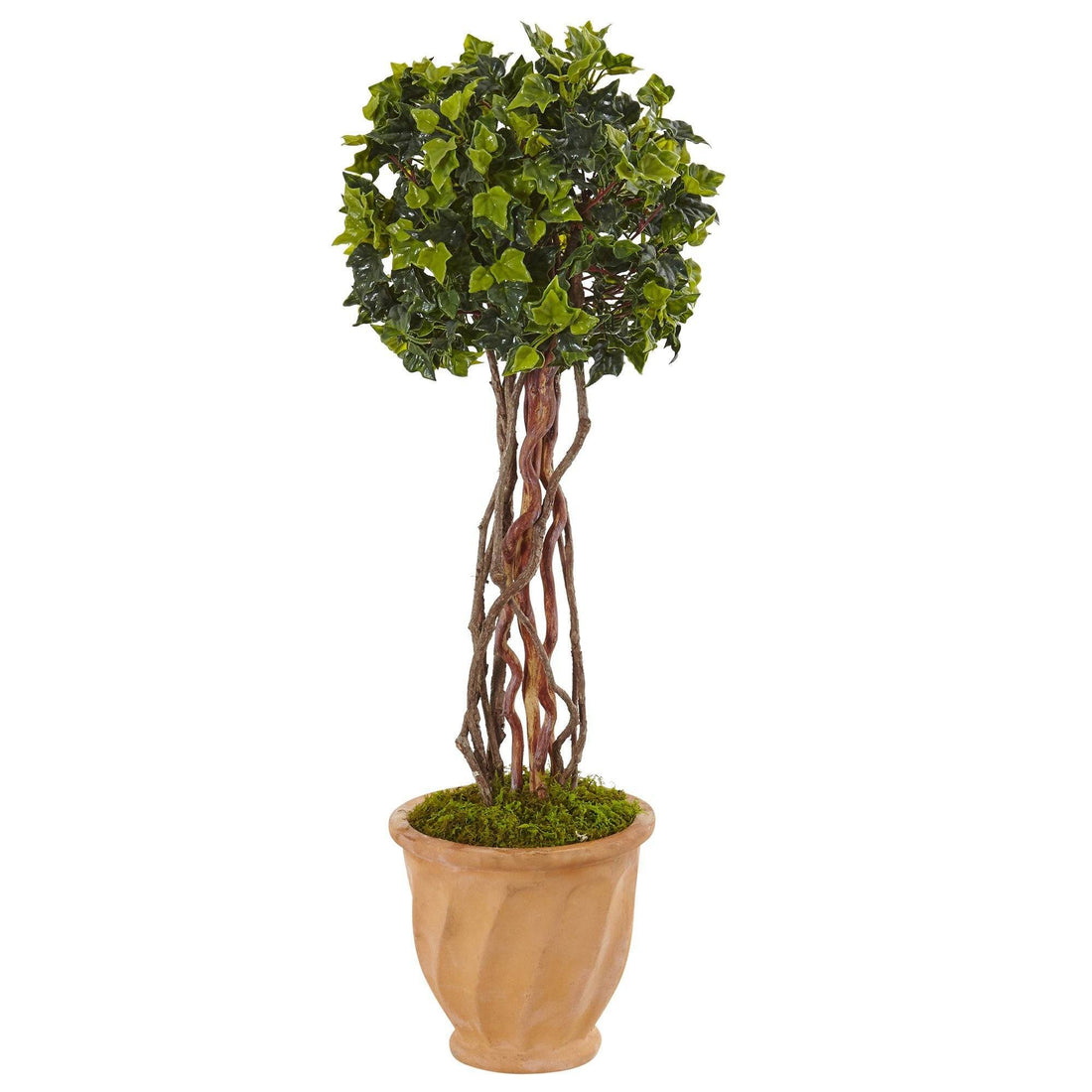 ivy tree house plant 3’ English Ivy Tree in Terracotta Planter UV Resistant (Indoor/Outdoor)