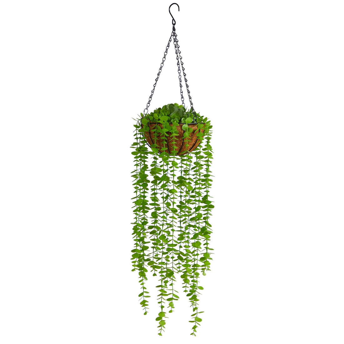 eucalyptus hanging plant real 3’ Eucalyptus Artificial Plant in Hanging Basket