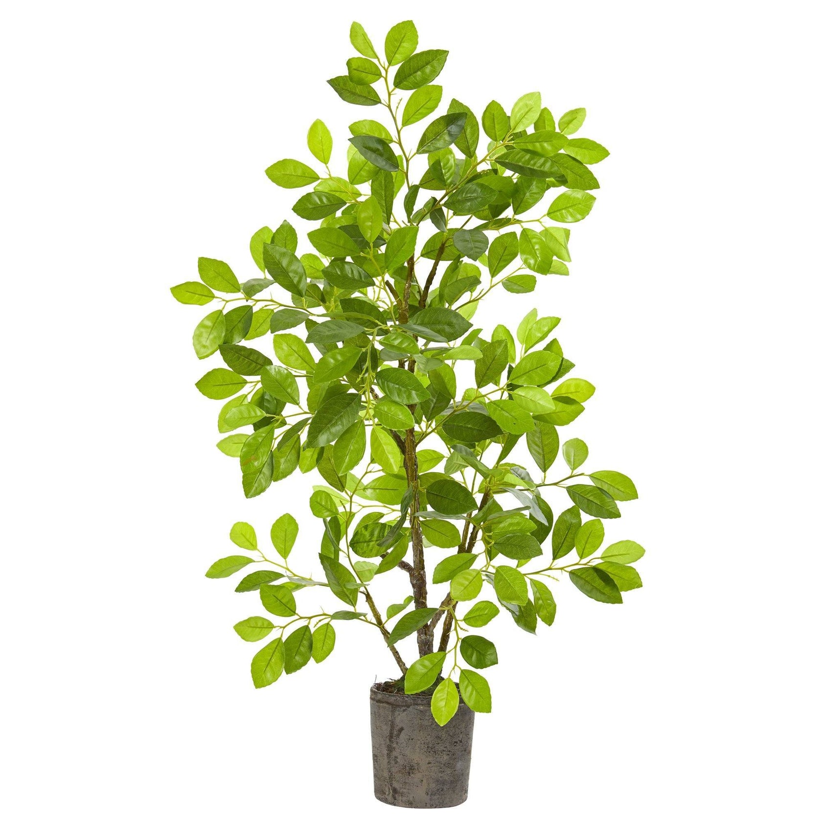 3’ Ficus Artificial Tree in Planter Nearly Natural