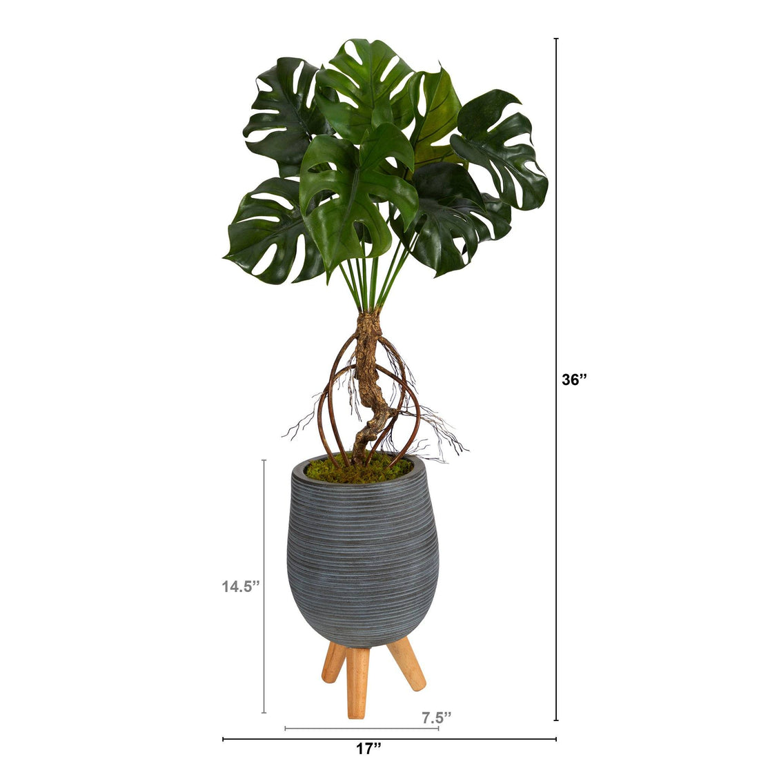 3' Monstera Artificial Arrangement in Gray Planter with Stand