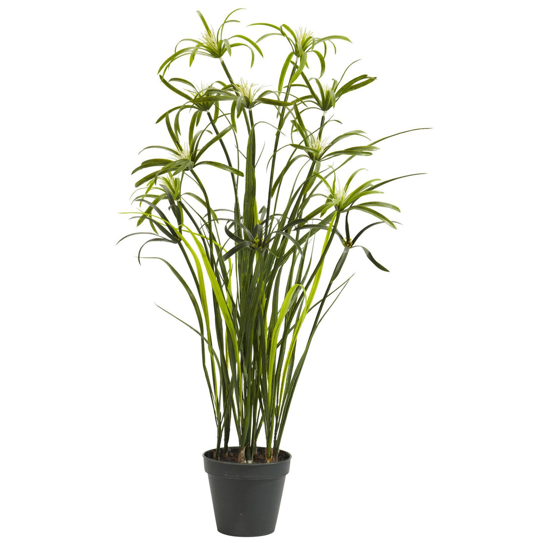 silk house plant 3' Papyrus Silk Plant