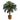 3’ Sago Palm Artificial Tree