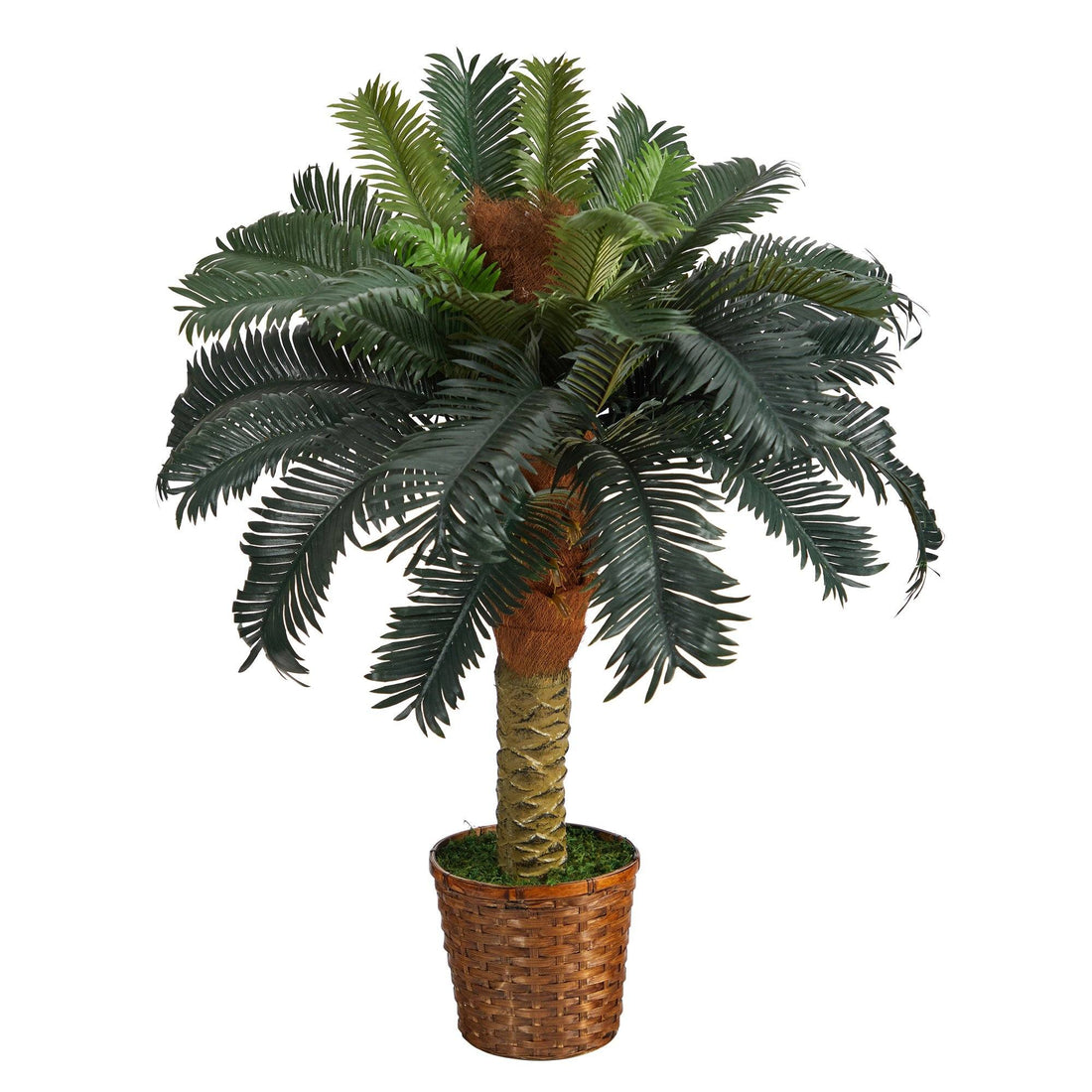 can you plant sago palms outside 3' Sago Palm Artificial Tree