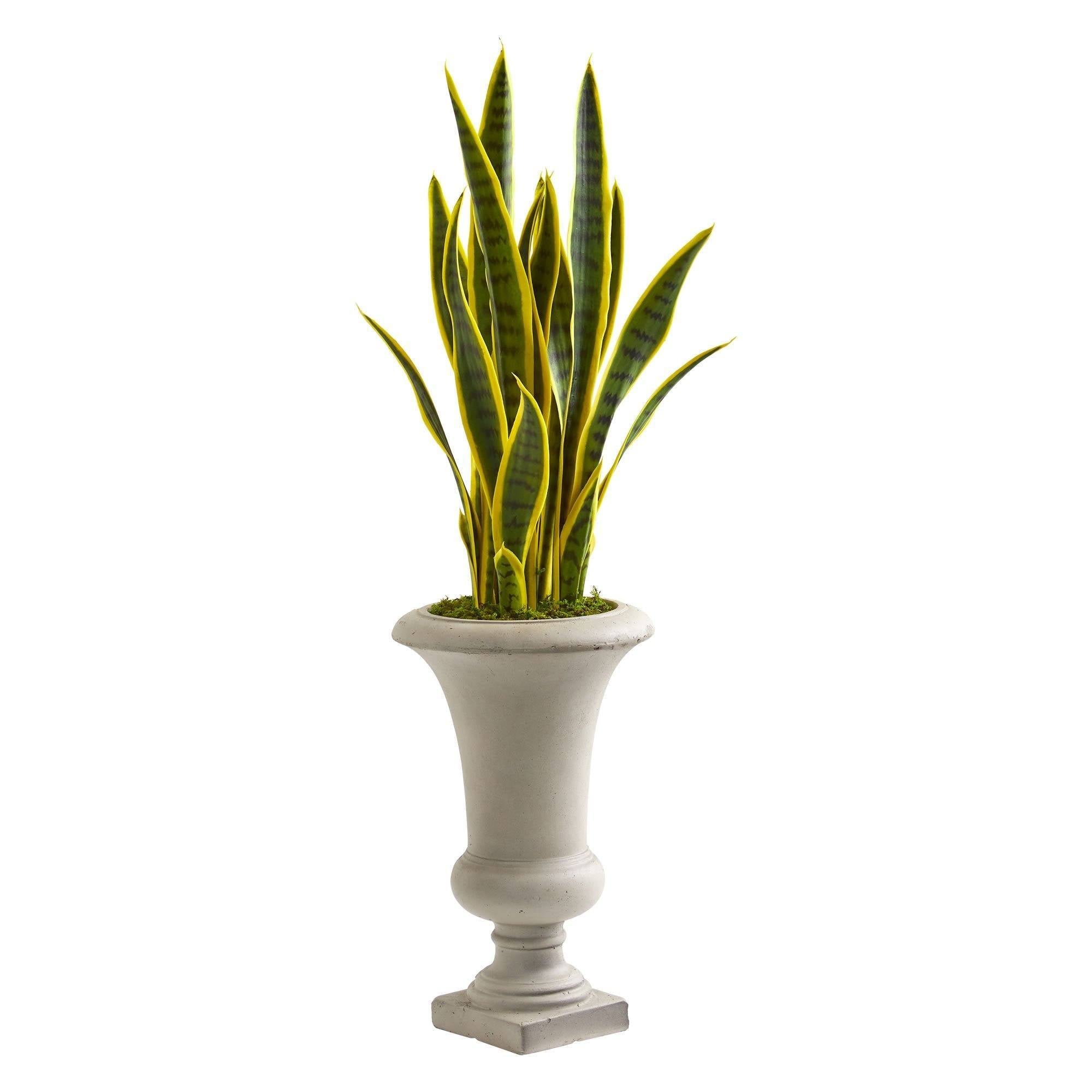 3’ Sansevieria Artificial Plant in Urn Nearly Natural