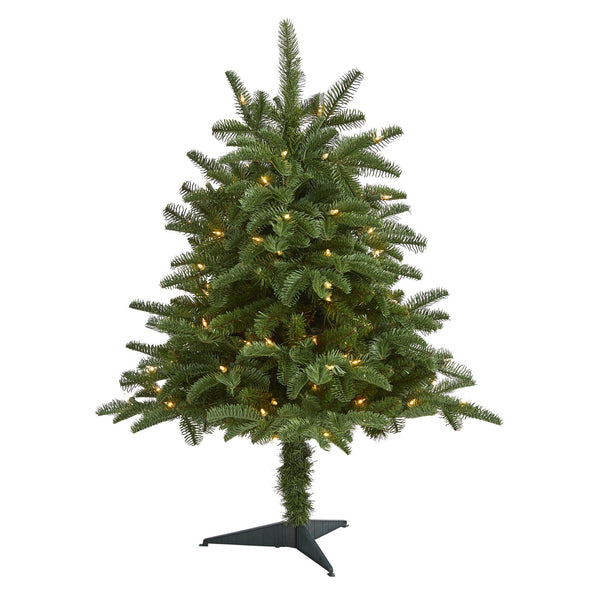 3’ South Carolina Spruce Artificial Christmas Tree with 100 White Warm Light and 458 Bendable Branches