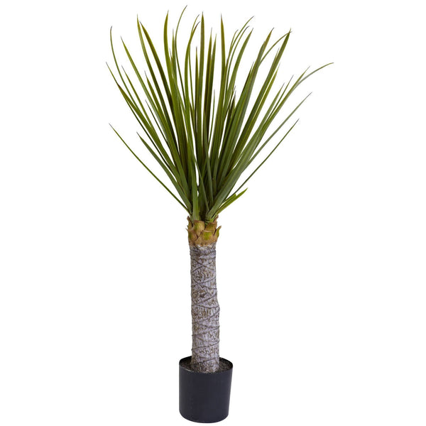 3’ Yucca Tree w/699 Lvs