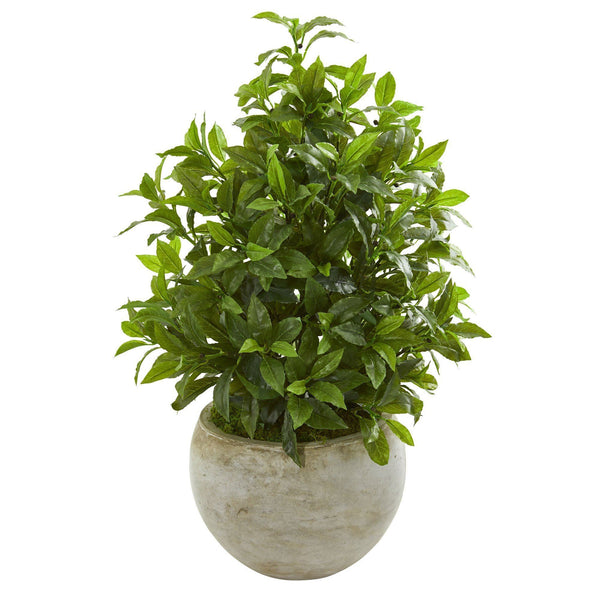 30” Coffee Leaf Artificial Plant in Sandstone Bowl (Real Touch)
