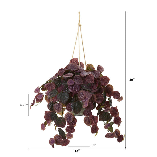 30” Peperomia Plant in Hanging Bucket (Real Touch)