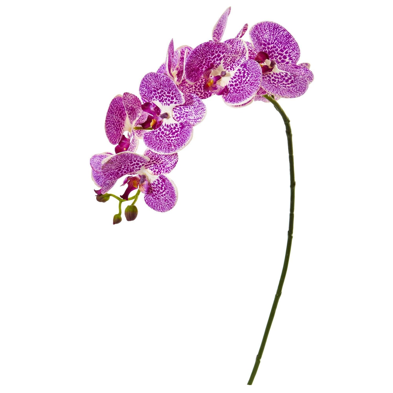 30” Phalaenopsis Orchid Artificial Flower (Set of 6)
