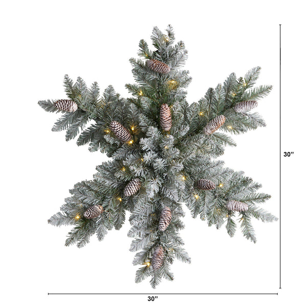 30” Pre-Lit Flocked Snowflake Artificial Dunhill Fir Wreath with Pinecones and 40 LED Lights