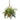 30” Wandering Jew & Spider Artificial Plant in Hanging Basket