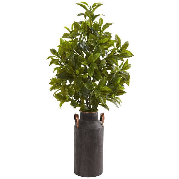 32” Coffee Leaf Artificial Plant in Decorative Canister (Real Touch)