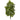 32’’ Green Baby Schefflera Artificial Plant (Real Touch) (Set of 2)