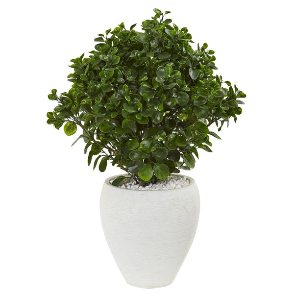 32” Peperomia Artificial Plant in White Planter (Indoor/Outdoor)