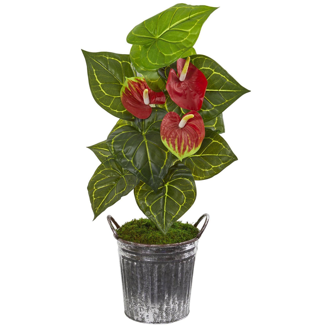 anthurium artificial plant 33” Anthurium Artificial Plant in Vintage Bucket (Real Touch)