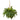 33" Artificial Boston Fern Hanging Basket