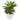 33” Double Agave Succulent Artificial Plant in White Planter