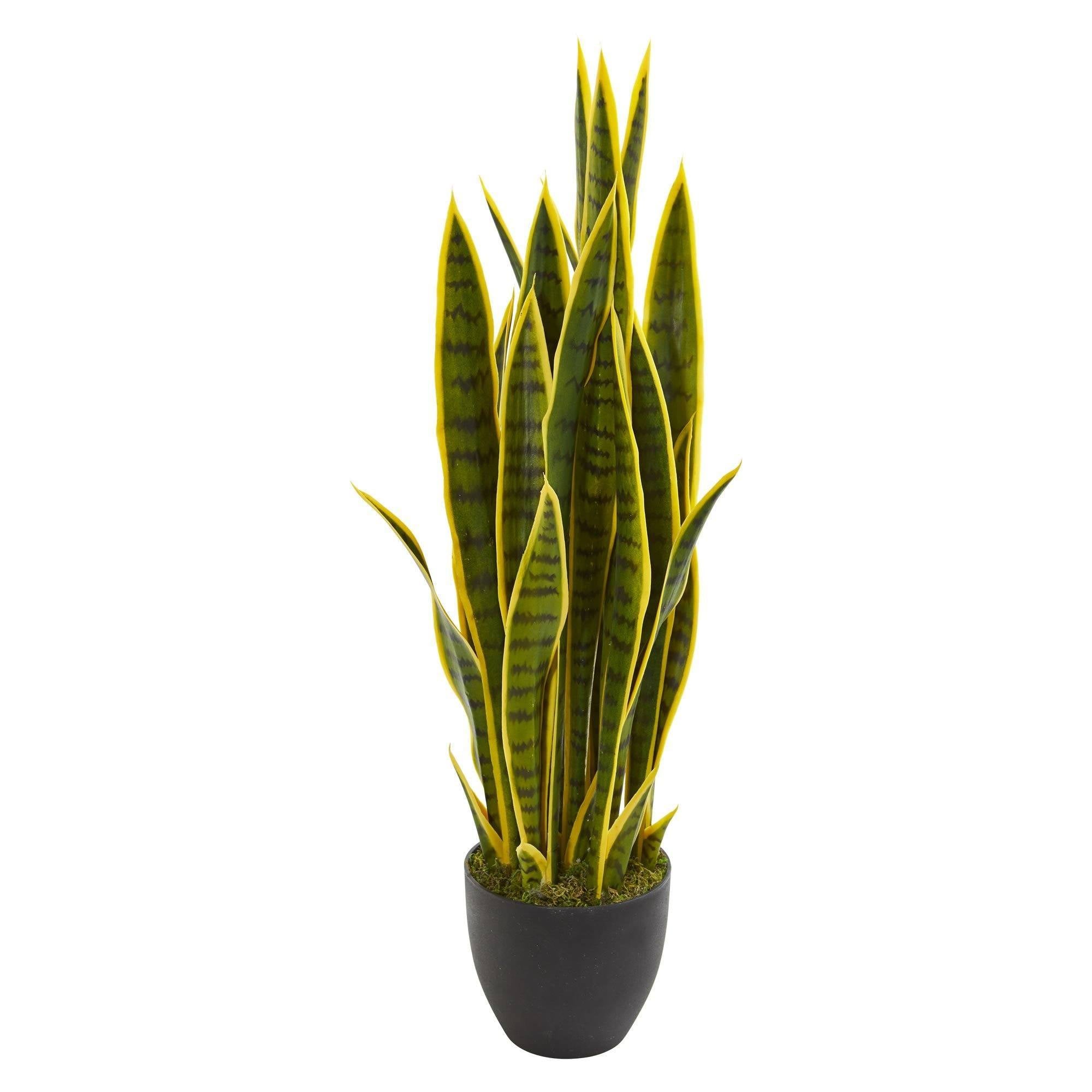 Artificial Snake Plant (70cm) 3