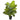 34” Dieffenbachia Artificial Plant (Real Touch)