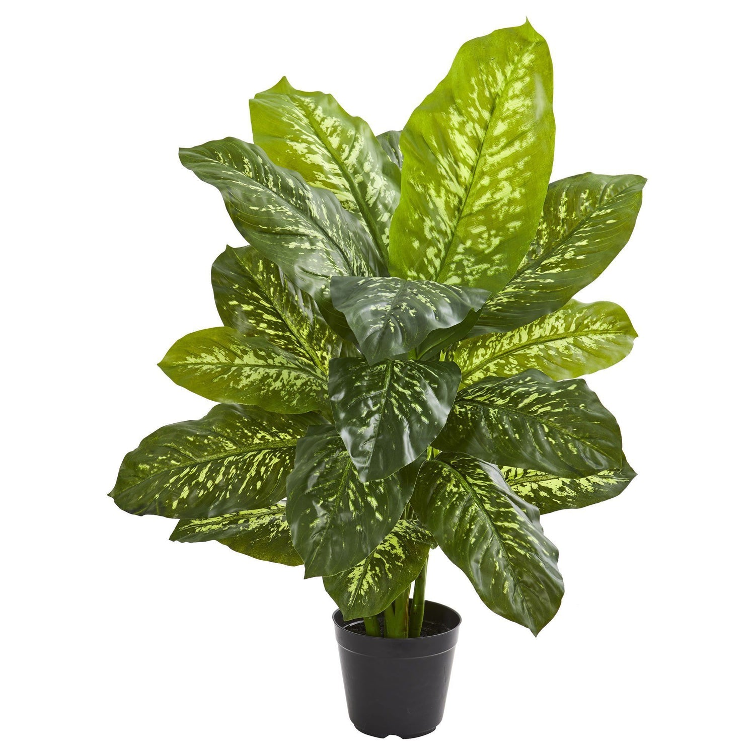 34” Dieffenbachia Artificial Plant (Real Touch)