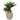34” Double Agave Succulent Artificial Plant in Sand Stone Planter