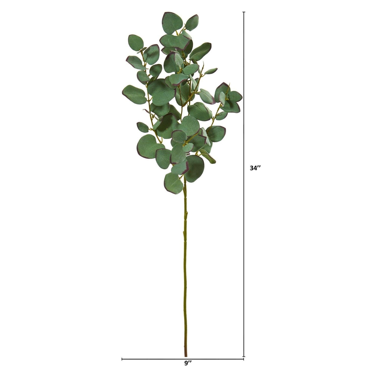 34” Eucalyptus Artificial Branch (Set of 6)