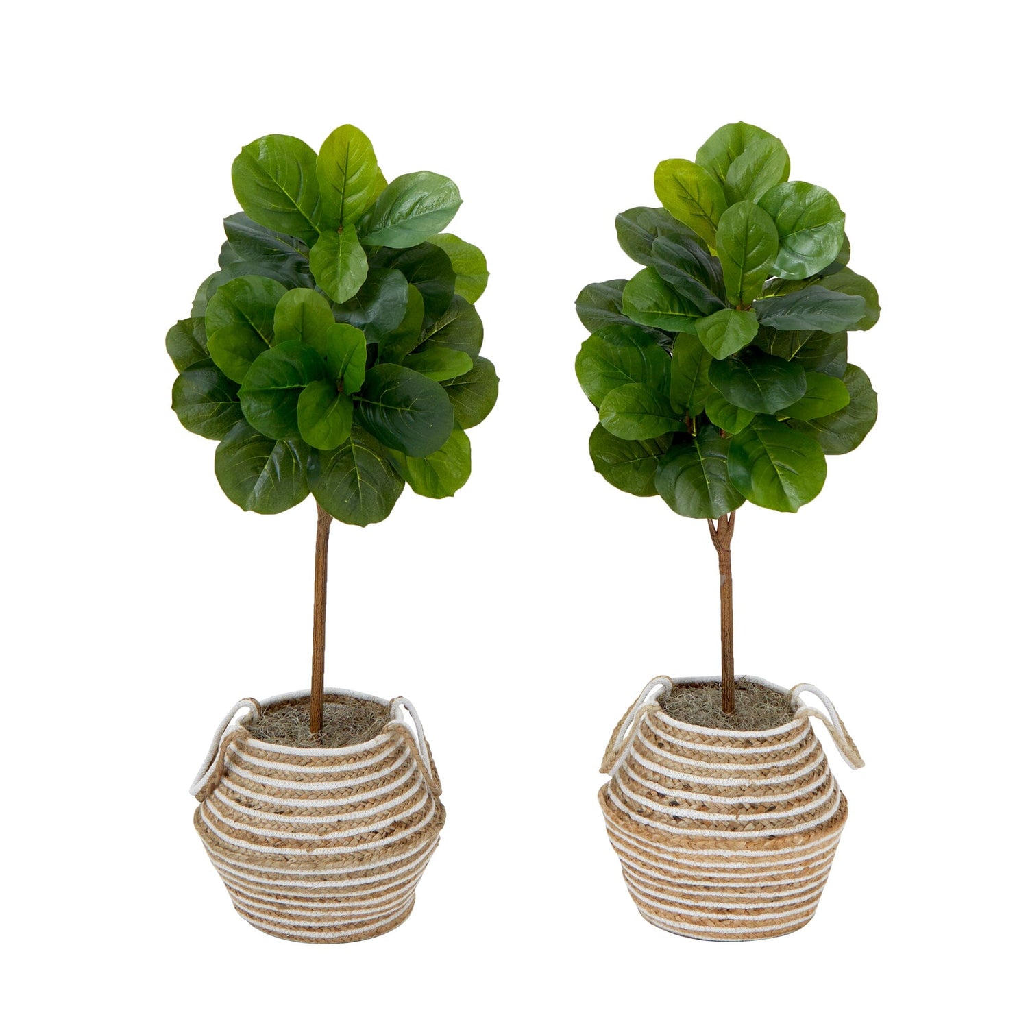 3.5' Artificial Fiddle Leaf Fig Tree with Handmade Jute & Cotton Basket with Tassels DIY KIT - Set of 2