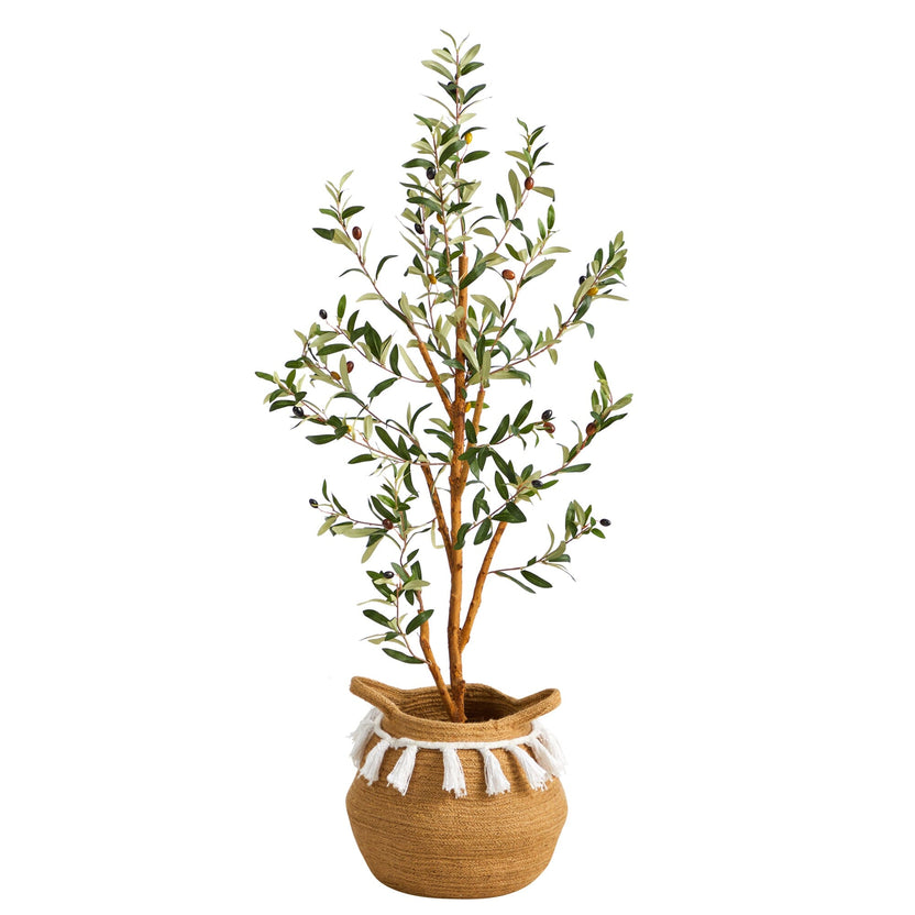 Faux Olive Tree Family Fake Olive Tree Collection Nearly Natural
