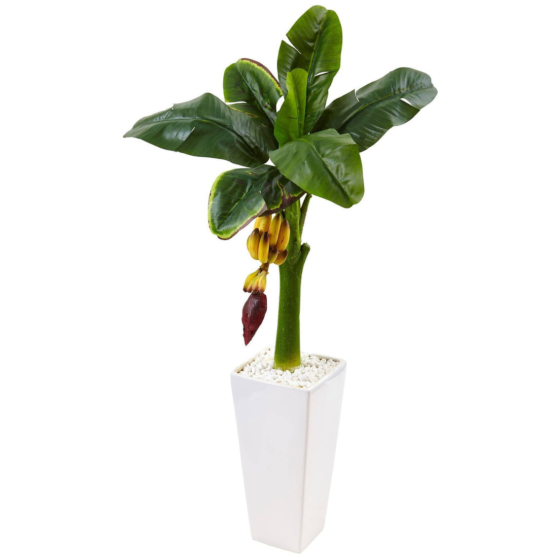 house plant that looks like a banana tree 3.5' Banana Tree in White Tower Vase
