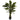 3.5’ Birdsnest Plant