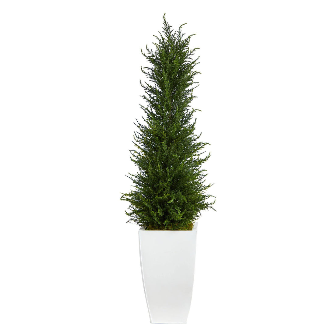 cypress tree indoor plant 3.5' Cypress Artificial Tree in White Metal Planter UV Resistant (Indoor/Outdoor)