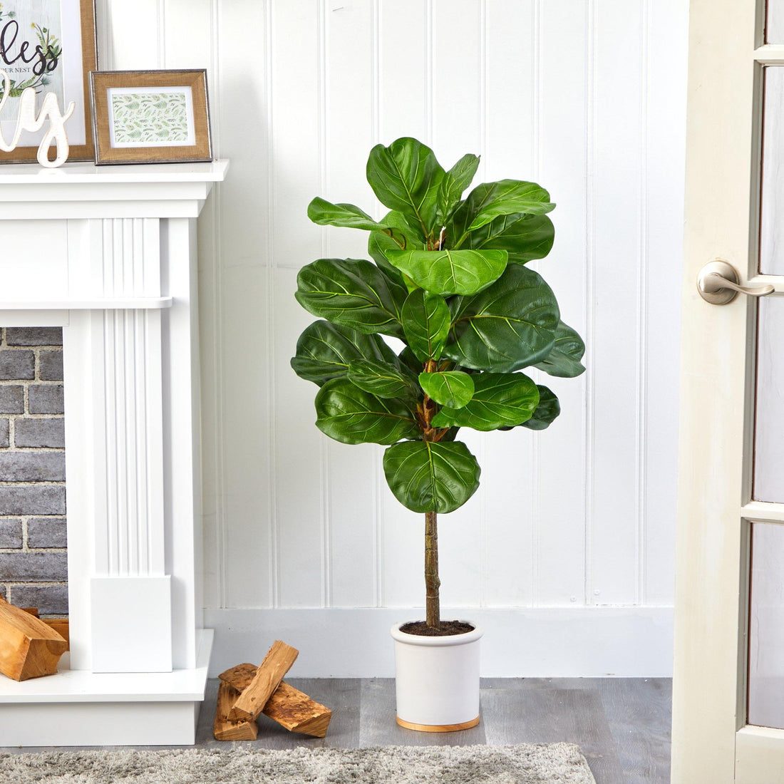 fiddle leaf fig in ceramic pot 3.5' Fiddle Leaf Artificial Tree in White Ceramic Planter