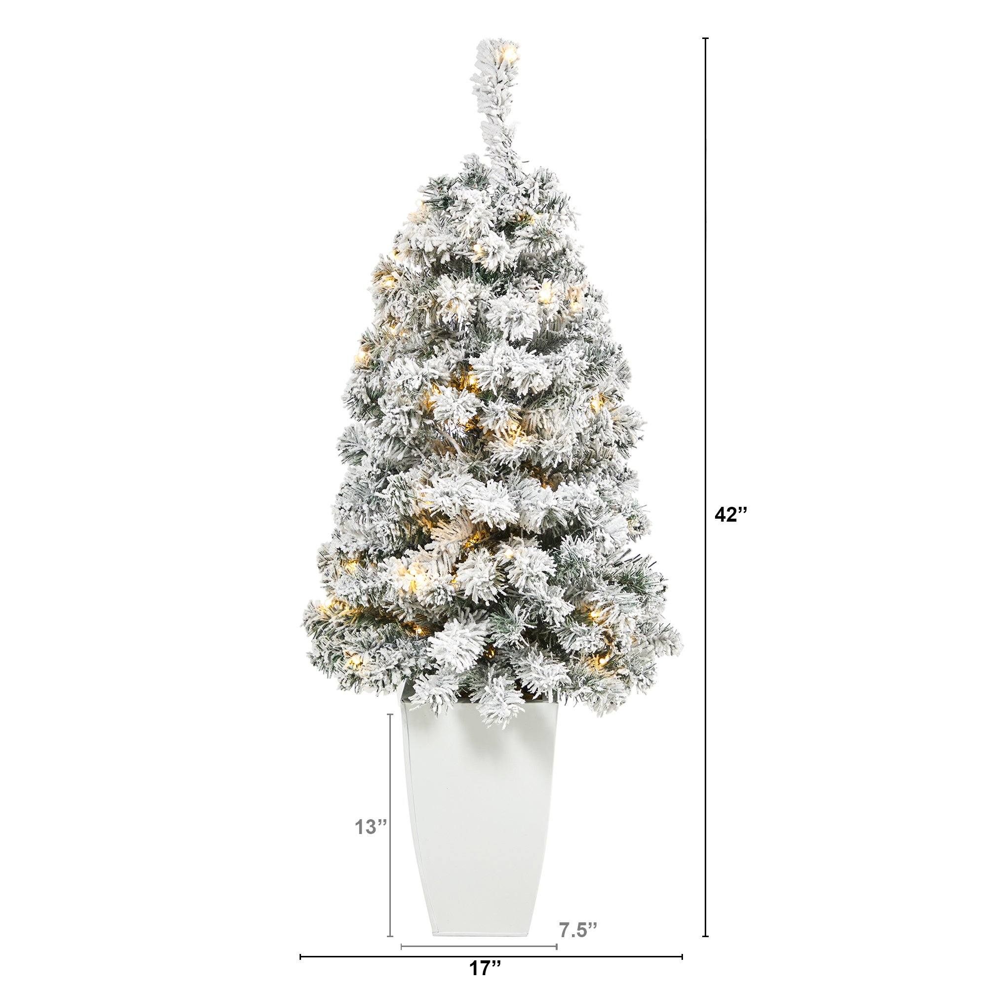 3.5' Flocked Rock Springs Spruce Artificial Christmas Tree with 50