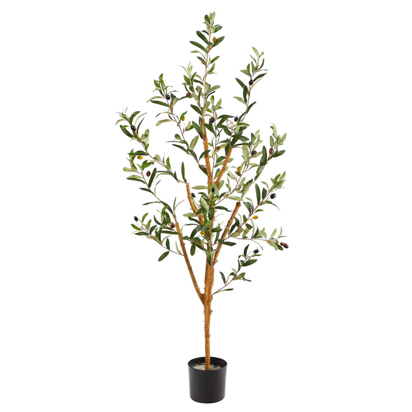 Faux Olive Tree Family Fake Olive Tree Collection Nearly Natural