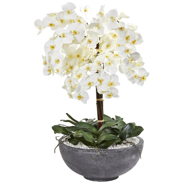 35” Phalaenopsis Orchid Artificial Arrangement in Large Cement Bowl