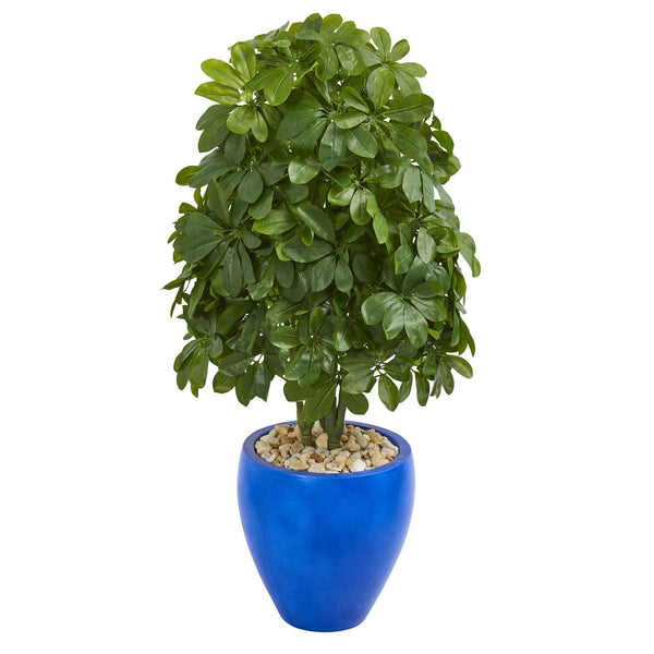 3.5’ Schefflera Artificial Plant in Blue Oval Ceramic (Real Touch)