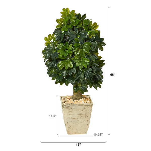 3.5’ Schefflera Artificial Tree in Country White Planter (Real Touch)