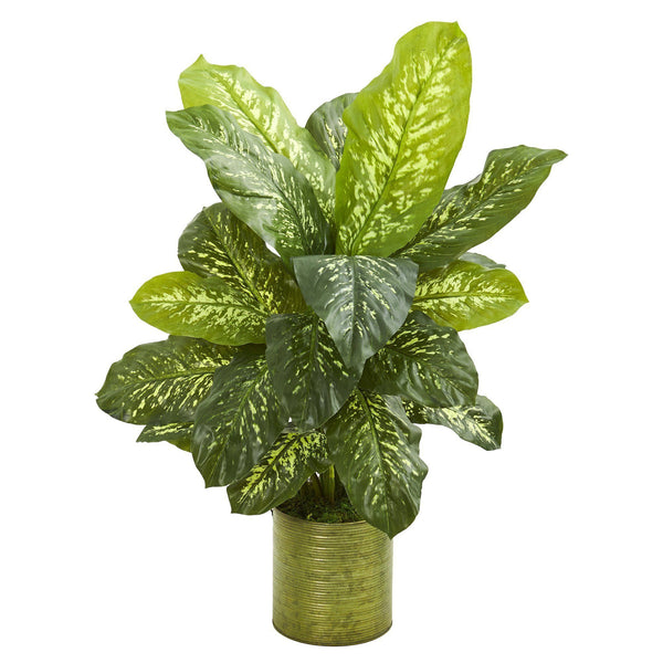 36” Dieffenbachia Artificial Plant in Green Planter (Real Touch)