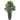 37” Aglonema Artificial Plant in Planter (Real Touch)