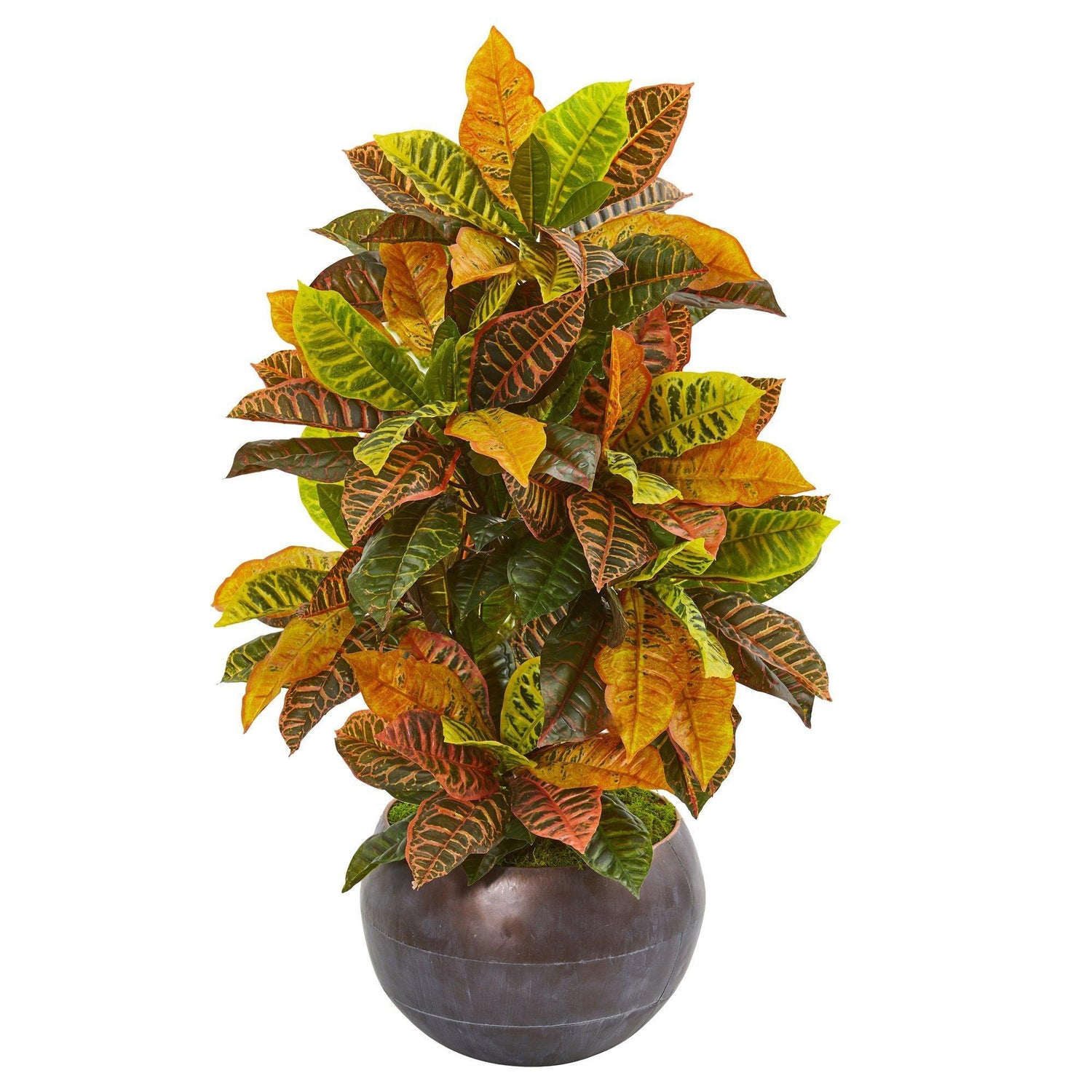 37” Croton Artificial Plant in Metal Bowl (Real Touch)
