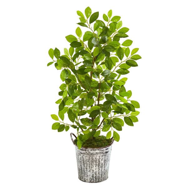 37” Mini Ficus Artificial Tree in White Washed Vintage Metal Pail
