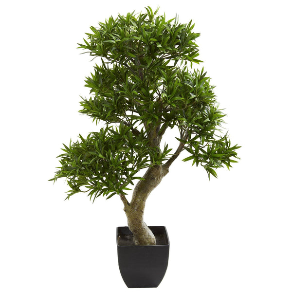 37” Podocarpus Artificial Tree