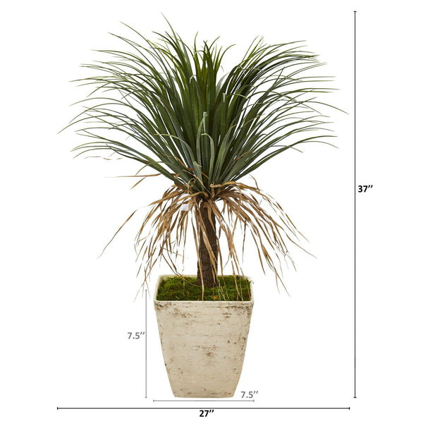 37” Pony Tail Palm Artificial Plant in Country White Planter