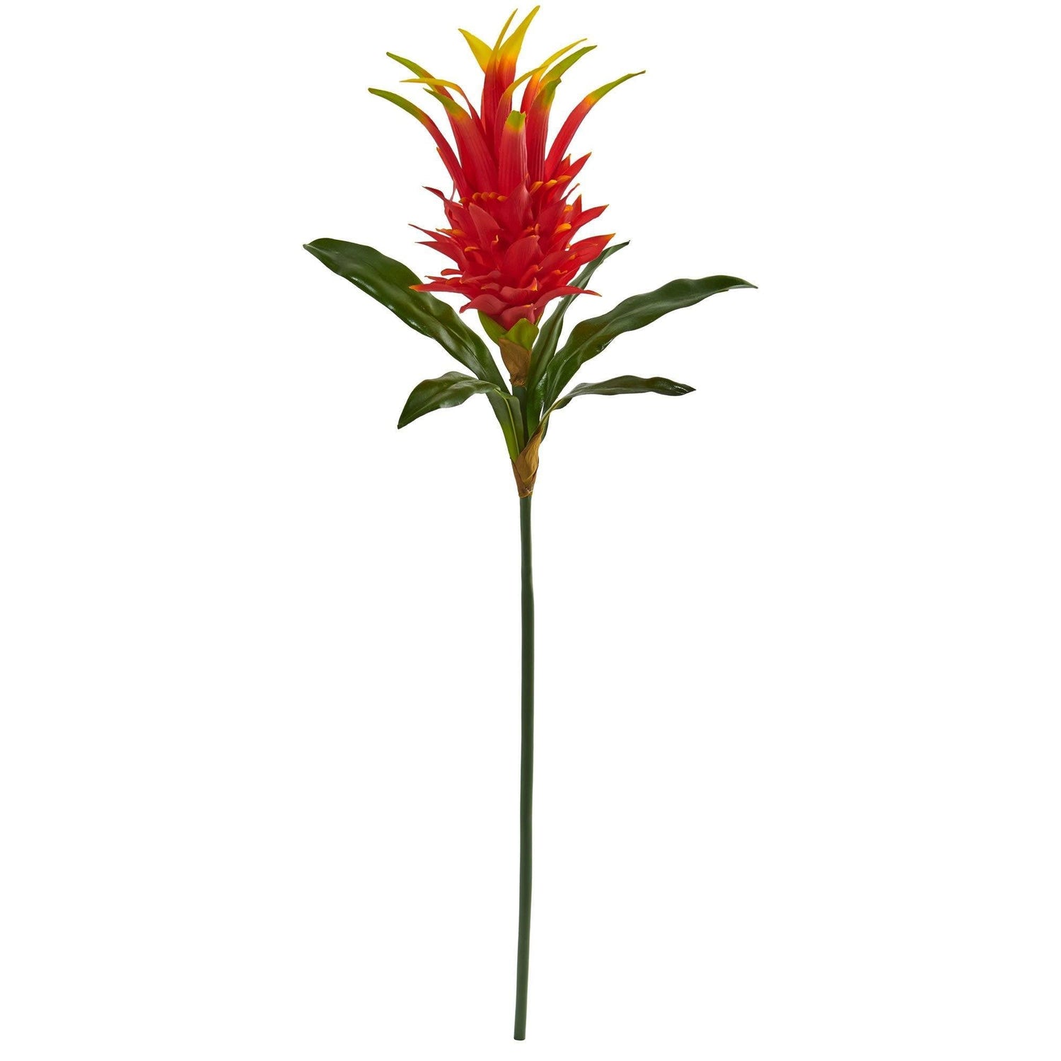 38” Dragon Fruit Flower Stem Artificial Flower (Set of 6)