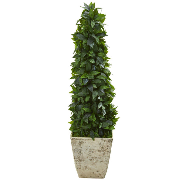 38” Sweet Bay Cone Topiary Artificial Tree in Country White Planter